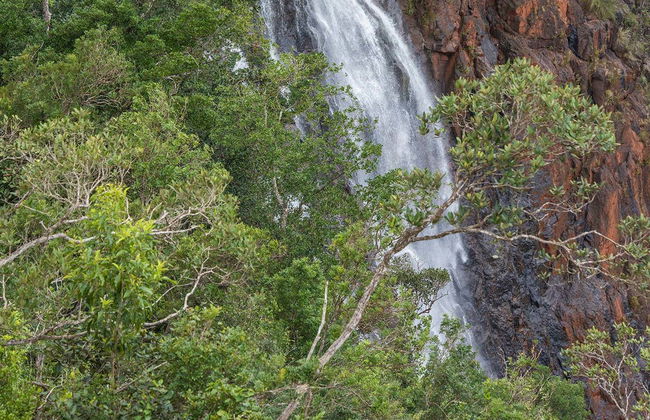 Excursão a Sierra Cristal - Foto 7