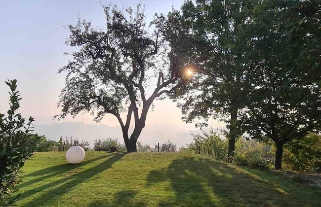 Langhe Apartment in Bottega di Rosanna - Foto 29