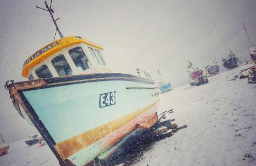 Escape Pod in Devon, 5 mins from beach + parking - Foto 70