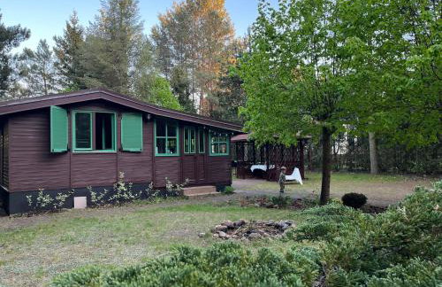 Leśny Zakątek - Foto 27