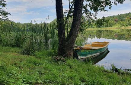 Mazurzanka - Leśny Domek w Bajkowym Zakątku - Foto 22