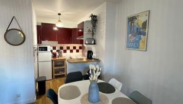 JFK13 Suite Cocoon Hypercentre Fibre et vue Sancy - Foto 4, stove