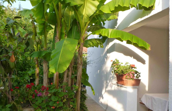 Angelo Apartment, in the Quiet Part of Porec - Photo 17