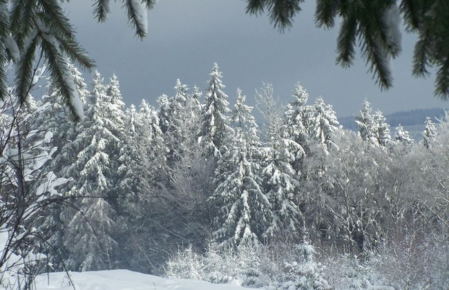 Well Kept Gite, Short Distance From the River and Forest - Foto 30