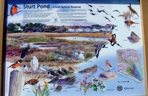 THE HIDEAWAY - LUXURY SELF CATERING COASTAL APARTMENT with PRIVATE ENTRANCE & KEY BOX ENTRY JUST A FEW MINUTES WALK TO THE BEACH, SOLENT WAY WALK, SHOPS and many EATERIES & BARS - FREE OFF ROAD PARKING,FULL KITCHEN, LOUNGE,BEDROOM , BATHROOM & WI-FI - Foto 11