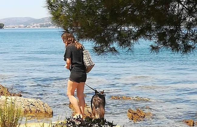 Huge terrace with sea view of the bay - Foto 27