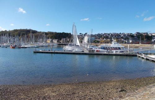 Les hortensias - Foto 37