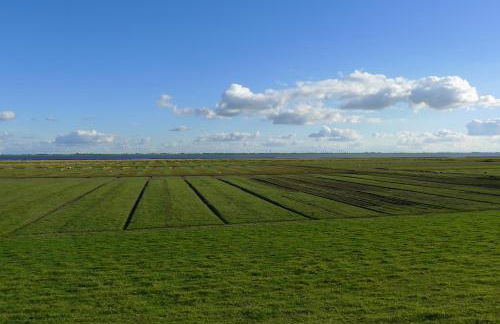 Ferienwohnungen Engelmühle - Foto 8