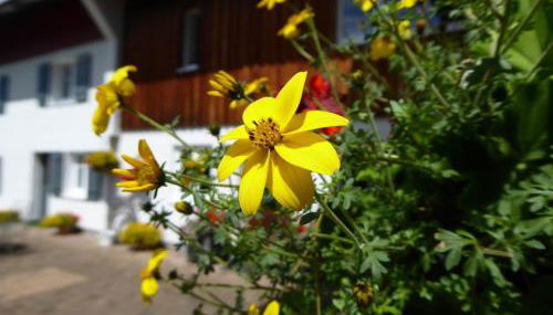 Ferienwohnung Rupp - Photo 5, Other