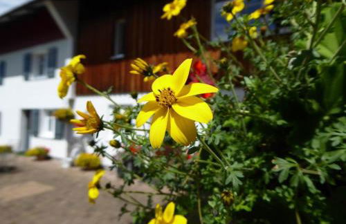 Ferienwohnung Rupp - Photo 5