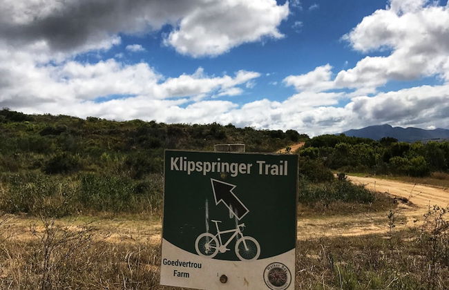 Goedvertrou Guest Farm - Foto 8