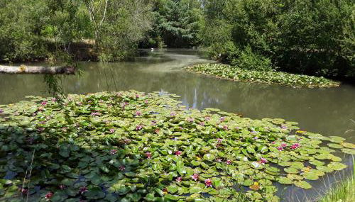 Cottage La Halouère - Photo 4