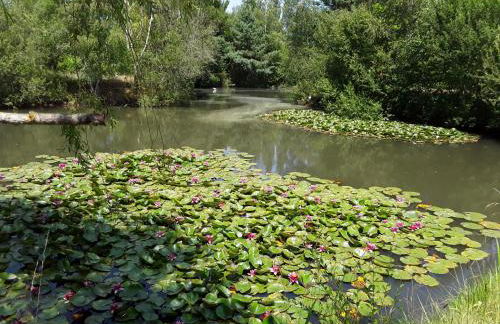 Cottage La Halouère - Photo 4