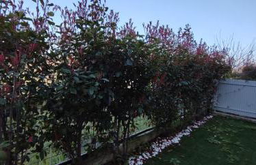 OLTRE CONFINE fronte mare - Foto 20