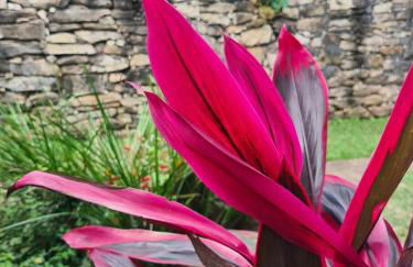 Sossego e aconchego ao lado do INHOTIM - Foto 29