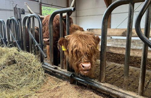 Schöne Aussicht! - Foto 20