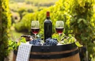 Résidence Maisons De La ForÊt - Maisonnette au cœur de la pinède – 4 pers. – Lacanau Océan proche centre MAE-0431 - Foto 11