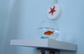 IL Ritratto casa vacanza - Foto 13