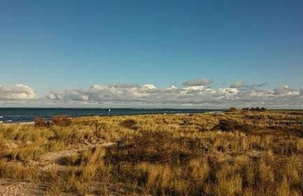 FW Einfeldt - Foto 14