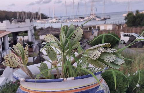 Villa Anna - Foto 34