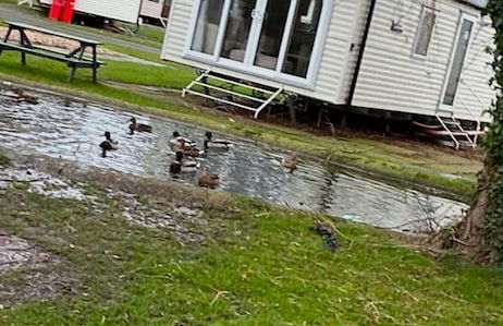 -garden-parking-nearcoast Springs 77 - Foto 11