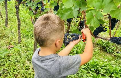 Lochererhof - Foto 8