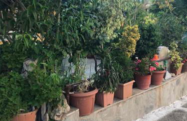 Mitsani Country House - Foto 10