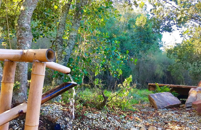 Forest Edge - Foto 55