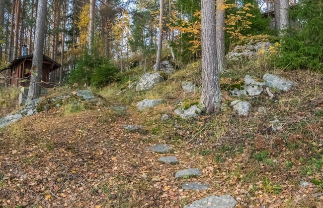 Aurinkorinne - Foto 8