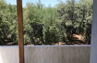 Σπιτάκι δίπλα στην θάλασσα! - Foto 5