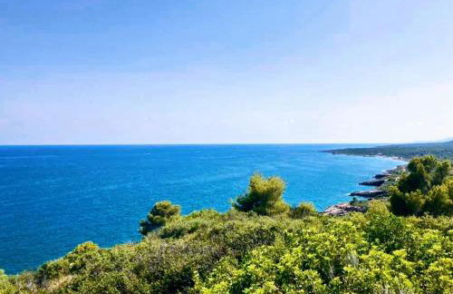 Bajo en Playa Romana Alcossebre - Foto 64