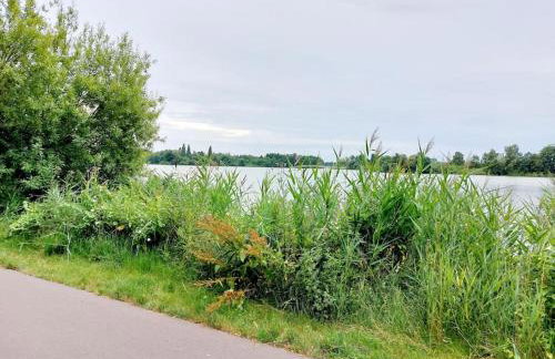 zentrale Ferienwohnung - direkt am See und in Schlossnähe - Photo 13