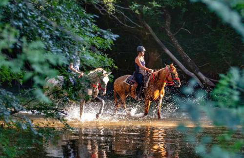 Kameni dvori - Family Villa with Pool & Jacuzzi for 8 - Foto 45