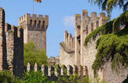 Coccolo a 10 minuti da Padova centro - Giusi - Foto 47