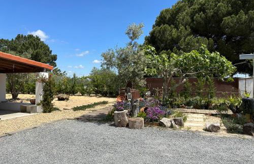 Amélia's House (Casa das Amélias) - Foto 12