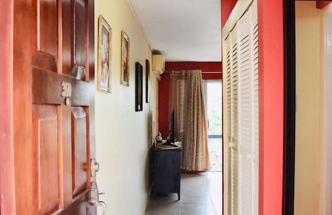 New Kingston Guest Apartment At Chelsea - Foto 15