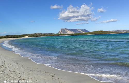 Agriturismo Asara - Foto 15