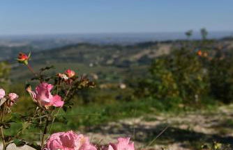 Refugium VERITAS - entire Villa with Pool - Foto 8