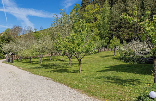 Eco Farm Mikl Pine Tree Apartment - Foto 19