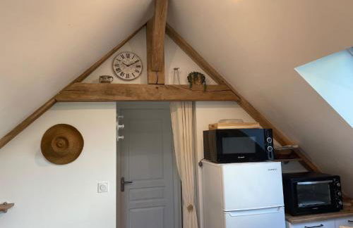 Gîte des Comtes du Perche 2 logements indépendants de 40 et 25 m2 - Foto 24