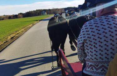 Agroturystyka Zagroda Miłkowskie - Photo 18