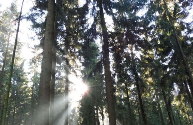 Cosy Apartment in Nohfelden - Foto 12