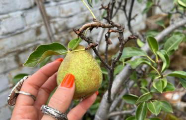 Comfy child/dog friendly garden flat heart Camden - Foto 11