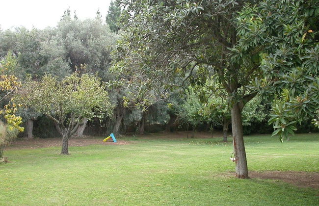 Case Damma - Foto 77