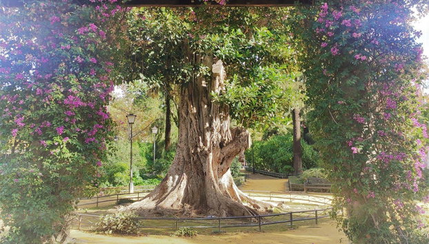 Visita guiada pela Plaza de España e pelo Parque de María Luisa - Foto 2