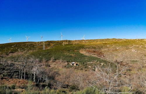 Casa Largo S Lourenço e Casa da Videira - Photo 27