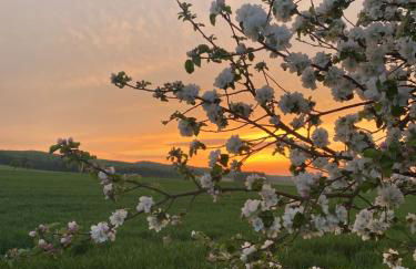Ferienwohnung Santino - Foto 31