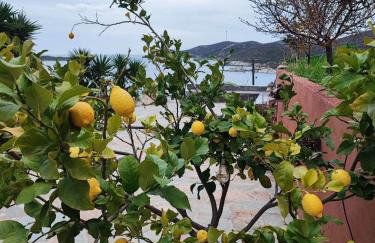 Seagulls - Within walking distance from sea! - Foto 14