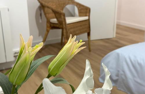 Apartament Rural ca la Roser - Foto 28