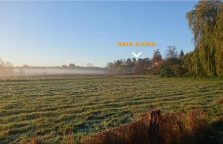 Hale Aloha - Foto 52